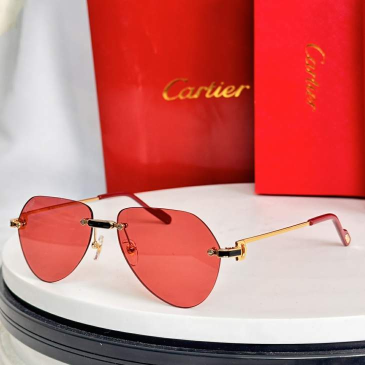 Picture of Cartier Sunglasses _SKUfw77817882fw